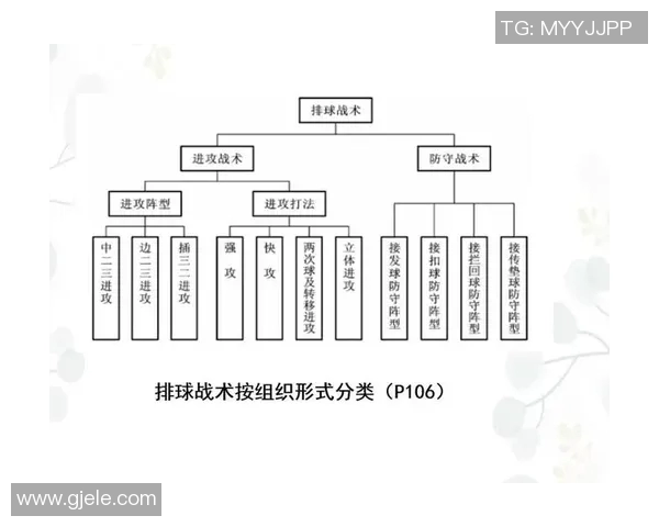 成都排球队的转换打法深度分析与战术创新探讨