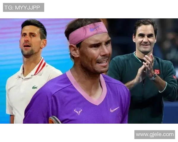 成都排球队技术争议引发热议球迷与专家各执己见探讨战术与表现